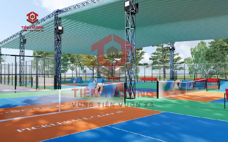 Các yếu tố cần xem xét khi thiết kế sân pickleball cho trẻ em